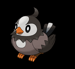 396 - Starly